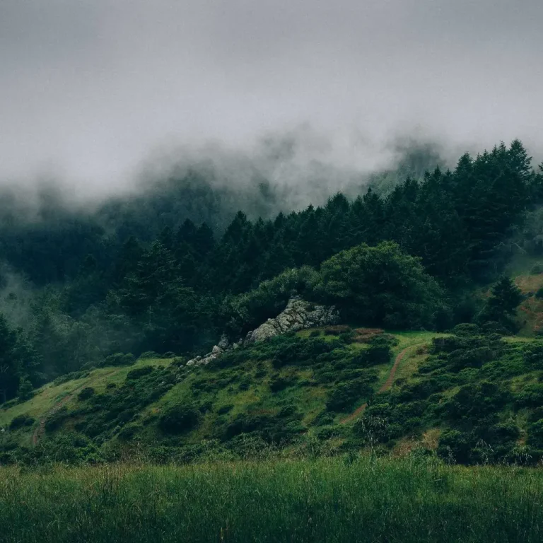 Rural Broadband Economics: The ROI Case for 4G/5G FWA CPE in Underserved Regions — A 2026 Operator Guide