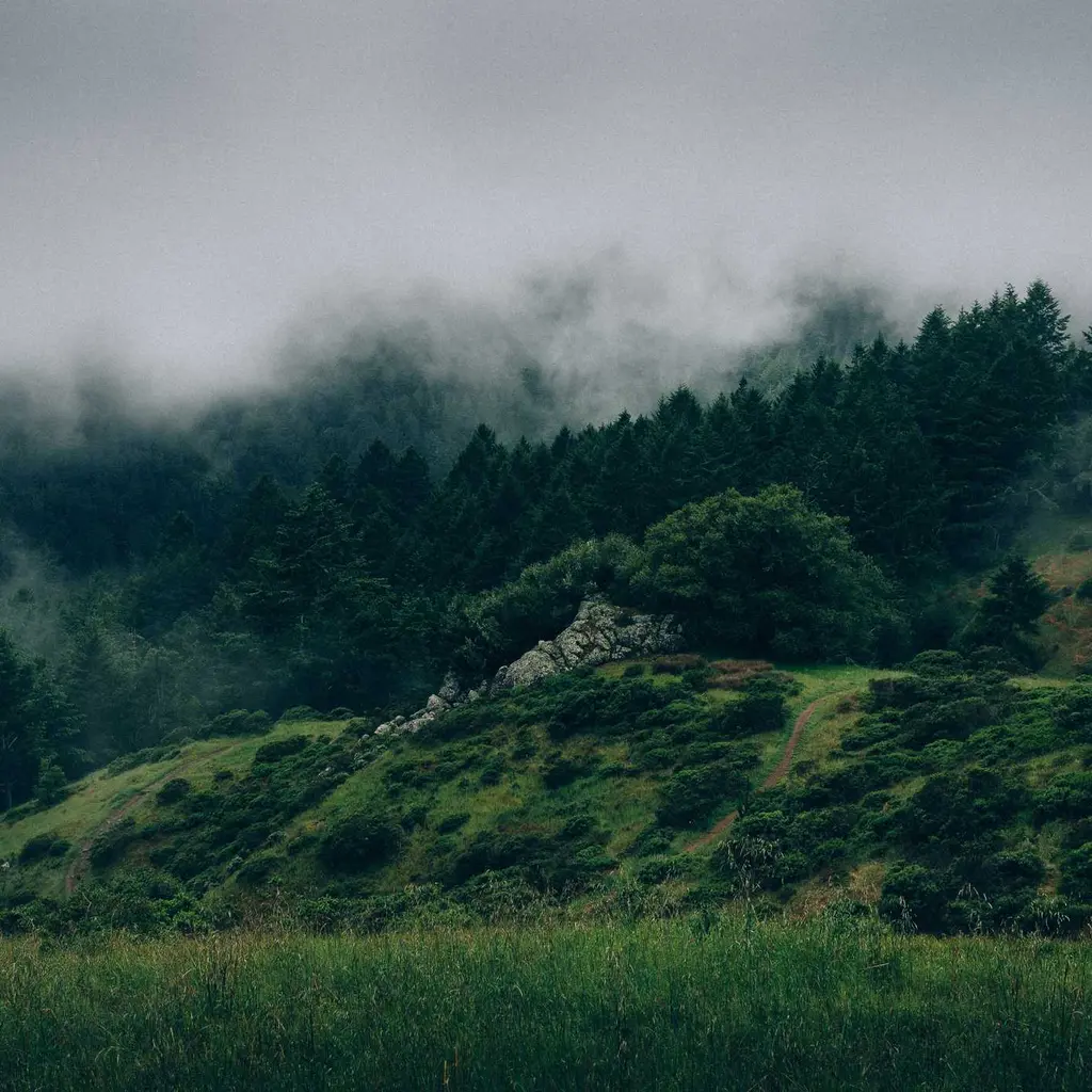 Rural Broadband Economics: The ROI Case for 4G/5G FWA CPE in Underserved Regions — A 2026 Operator Guide